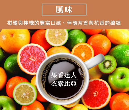 果香迷人-衣索比亞